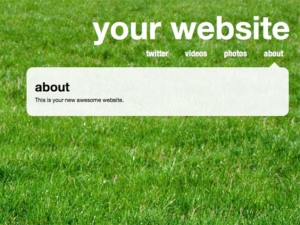 Your own website